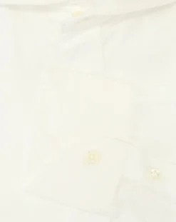 CAMISA BOLZONELLA