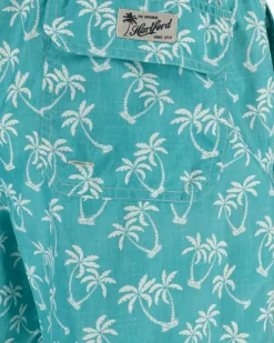 TRAJE DE BAÑO PALMERAS HARTFORD